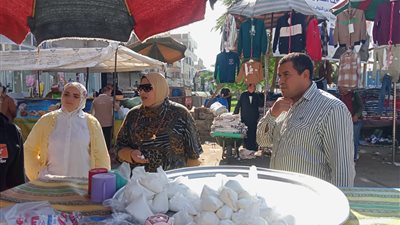  إعدام 21 طن أغذية وغلق 153 منشأة غير مرخصة في حملات لمديرية الصحة بالشرقية