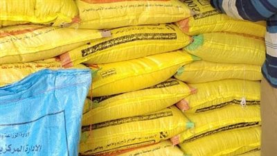 زراعة الفيوم تتسلم الدفعة الثانية من تقاوي الحقول الإرشادية للموسم الشتوي