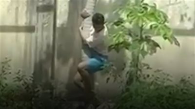 مشهد مرعب، أنثى أسد تهاجم شابا وتقتله بعد اقتحامه منطقة محظورة بحديقة حيوان (فيديو) 