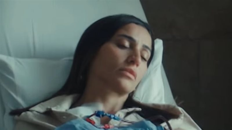 دينا الشربيني في