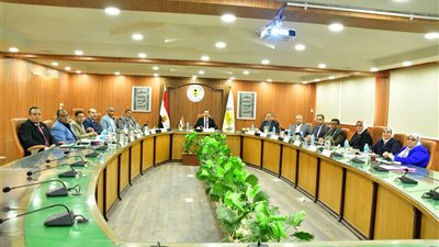 تقدّم مؤسسي ورؤية استراتيجية لتعزيز التصنيف الدولي وتطوير البيئة التعليمية بجامعة الوادي الجديد