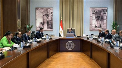 رئيس الوزراء يتابع أعمال تطوير ورفع كفاءة شبكة الطرق المؤدية إلى مطار الإسكندرية الدولي
