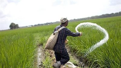 بعد تخفيض حصة صرف الأسمدة، خبير غذاء يوجه رسالة لرئيس الوزراء ويكشف تحايل إحدى الوزارات