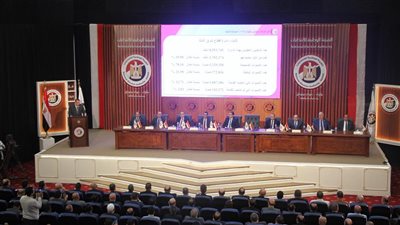 الشرقية تنتظر الإعادة في 8 دوائر بعد حسم مقعدي منيا القمح