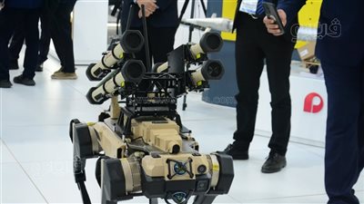 الذئب الصيني المقاتل مفاجأة معرض إيديكس الدولي للصناعات الدفاعية 2025 (فيديو)