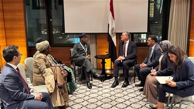 تعاون مصري نيجيري في قطاع التعدين 