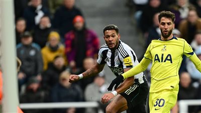 الدوري الإنجليزي، نيوكاسل يتعادل 2-2 أمام توتنهام في مباراة مثيرة