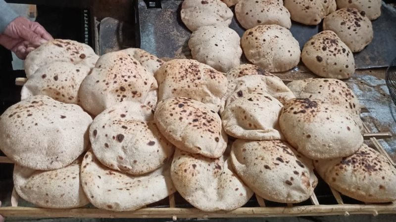حملة تموينية علي