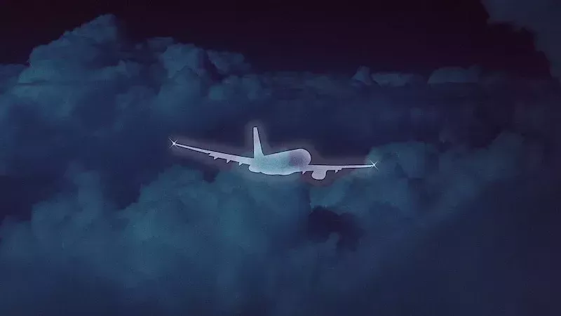 الطائرة الماليزية،