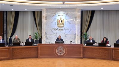 رئيس جهاز التعبئة والإحصاء يُقدم عرضًا حول 