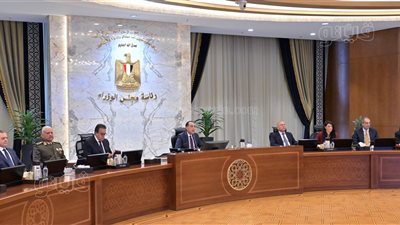 مجلس الوزراء: حرية الإعلام والصحافة يكفلها الدستور والقوانين المنظمة والحكومة تؤمن بذلك