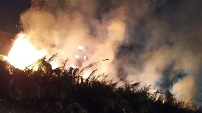 اندلاع حريق بجوار السكة الحديد بالسنطة دون تأثير على حركة القطارات