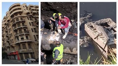 أخبار مصر: عودة المياه إلى الجيزة، تماسيح تثير الرعب في الشرقية، خبر غير سار لأصحاب قانون الإيجار القديم