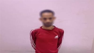 القبض على شاب بتهمة تجميع بطاقات الرقم القومي بمحيط لجنة انتخابية بقنا