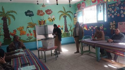إقبال ملحوظ على اللجان في ثاني أيام انتخابات النواب بدار السلام بسوهاج (فيديو وصور)