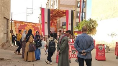 إقبال ملحوظ بدوائر البحيرة، انتظام العملية الانتخابية في أبو حمص وإدكو 