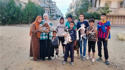 طوارئ بشوارع رأس البر، فرق بيطرية تجوب المناطق لتحصين الكلاب ومواجهة المخاطر