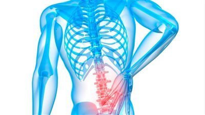 الطريقة الصحيحة للجلوس لتجنب آلام الظهر والركبتين