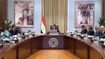 رئيس الوزراء يُتابع إجراءات منع تهريب السلع والبضائع في مختلف المنافذ