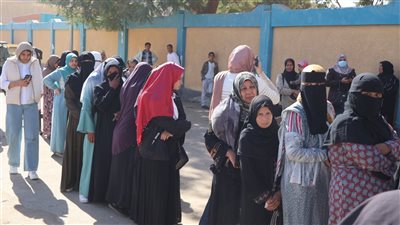 انتخابات النواب 2025، إقبال السيدات وذوي الهمم على اللجان في الـ 7 دوائر الملغاة بسوهاج (صور)