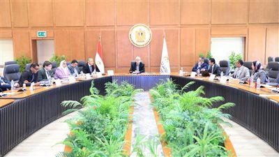 رعاية المبتكرين: إنشاء صندوق مخاطر بقيمة 500 مليون جنيه لدعم الشركات الناشئة والتكنولوجية