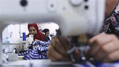 الإحصاء: المرأة تشكل 29.3% من القوى العاملة في المهن العلمية