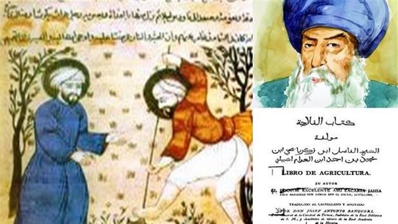  ابن العوام الإشبيلي،