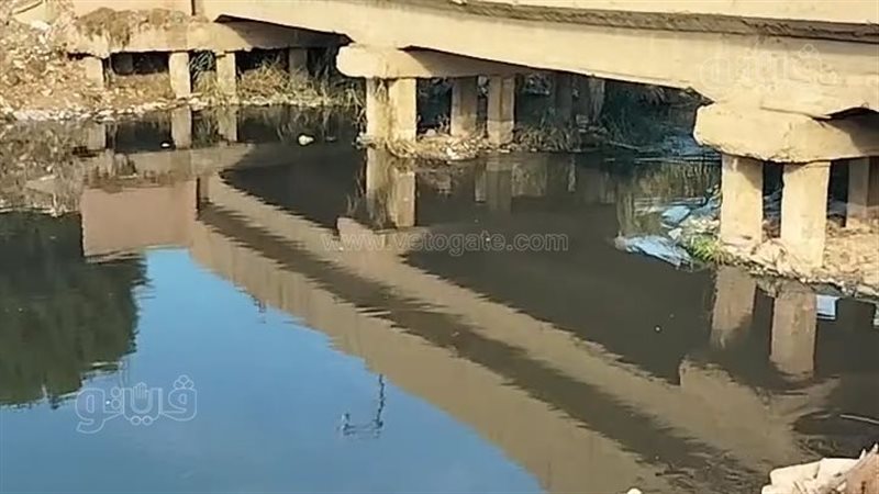 البحث عن تماسيح بقرية