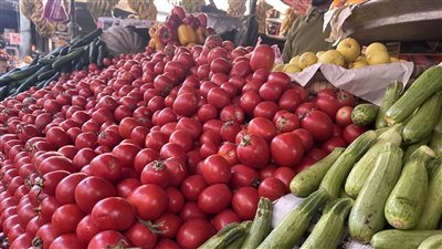 الليمون يصل لـ30 جنيها، أسعار الخضروات في محافظة البحيرة اليوم السبت (فيديو وصور)