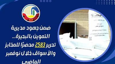 تحرير 2583 محضرًا للمخابز والأسواق خلال نوفمبر الماضي بالبحيرة