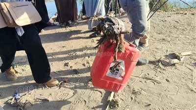 الخطر ما زال قائما، آخر تطورات أزمة تماسيح الشرقية ومصدر يكشف سر الفراخ الميتة (صور)