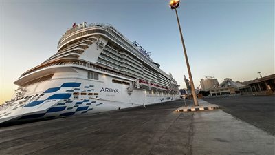 تداول 16 ألف طن و886 شاحنة بضائع متنوعة بموانئ البحر الأحمر