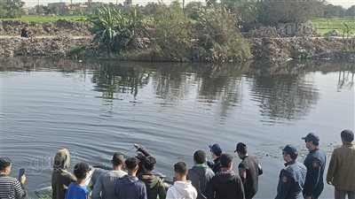 فريق محميات أسوان يبدأ مطاردة تماسيح الزوامل في الشرقية (فيديو وصور)