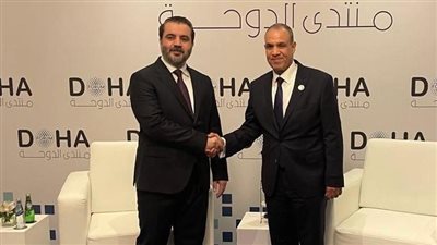 وزير الخارجية لنظيره السوري: الموقف المصري ثابت وقائم على الحفاظ على وحدة سوريا وسلامة أراضيها