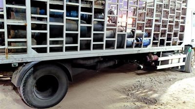 ضبط محطة وقود لتجمعيها 28 ألف لتر سولار مدعم في البحيرة 