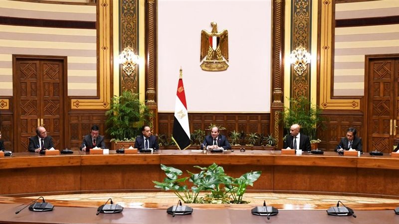 السيسي ومجموعة خبراء
