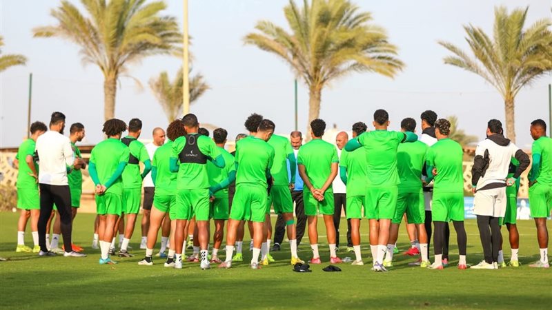 المصري 