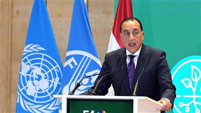 رئيس الوزراء: مصر تؤكد التزامها الكامل بتعزيز التعاون مع 