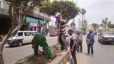 عوض تتلقى تقريرا عن الموقف التنفيذي للمرحلة الرابعة من مبادرة 100 مليون شجرة بالدقهلية