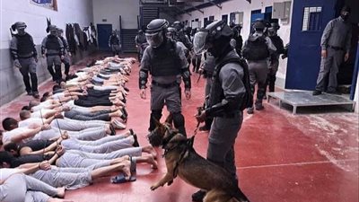 الأعداد الحقيقية تقدر بالمئات، توثيق إعدام 50 أسيرا من معتقلي غزة في سجون الاحتلال