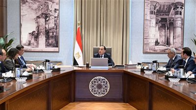 رئيس الوزراء: انخفاض أسعار الدواجن يدعم التوازن في السوق 