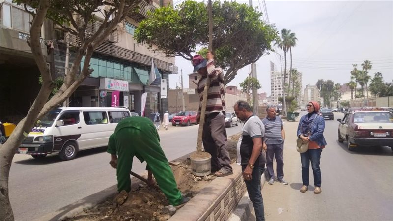 مبادرة التشجير، فيتو