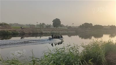 شيخ الصيادين وفريق محميات أسوان في مهمة إنقاذ الأهالي من التمساح الهارب بالشرقية (صور)