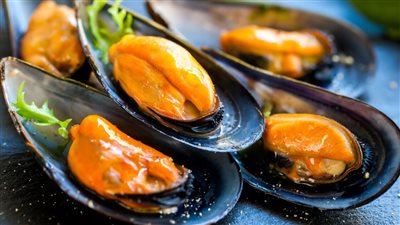 طريقة عمل بلح البحر بتتبيلة مميزة ولا تقاوم 