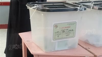 الوادي الجديد تنهي استعداداتها لإعادة انتخابات النواب بالدوائر الملغاة غدا 