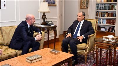 وزير الخارجية: إقامة الدولة الفلسطينية ركيزة أساسية لتحقيق الاستقرار في المنطقة