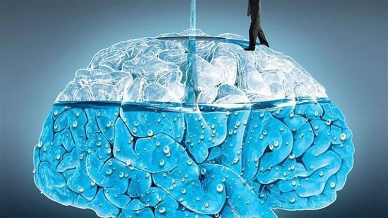 الماء لصحة الدماغ
