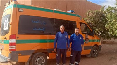 32 سيارة إسعاف بمحيط اللجان الانتخابية في الوادي الجديد