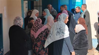 تنسيقية شباب الأحزاب: توافد الناخبين على انتخابات الدوائر الملغاة في كوم حمادة بالبحيرة 