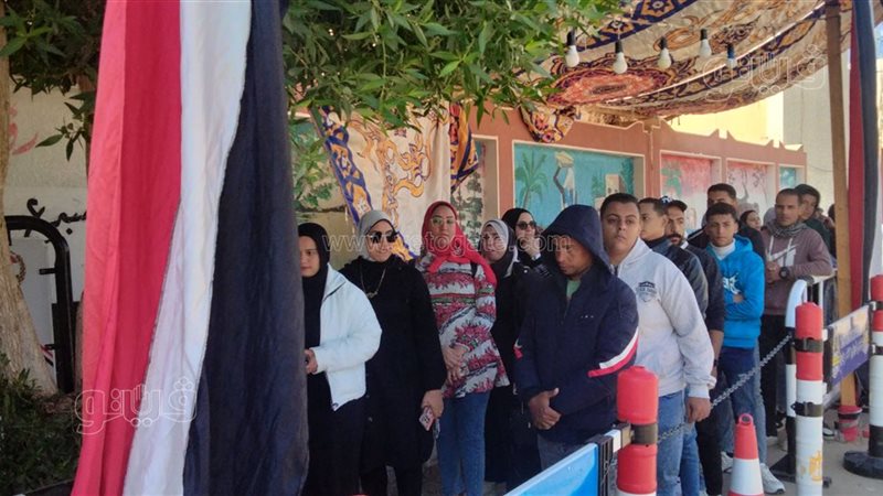 انتخابات النواب بالوادي
